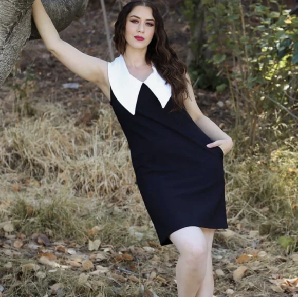 Collared Shift Dresses